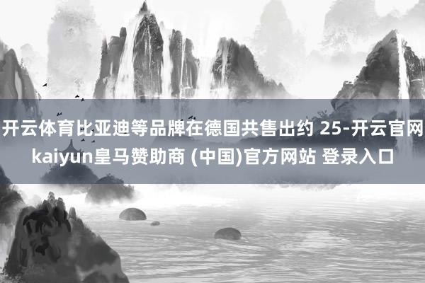 开云体育比亚迪等品牌在德国共售出约 25-开云官网kaiyun皇马赞助商 (中国)官方网站 登录入口